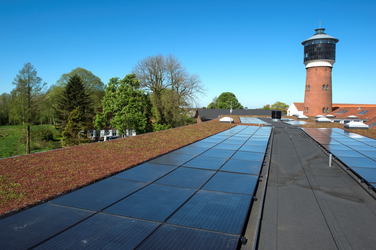 Flot sammenspil af solceller og sedum