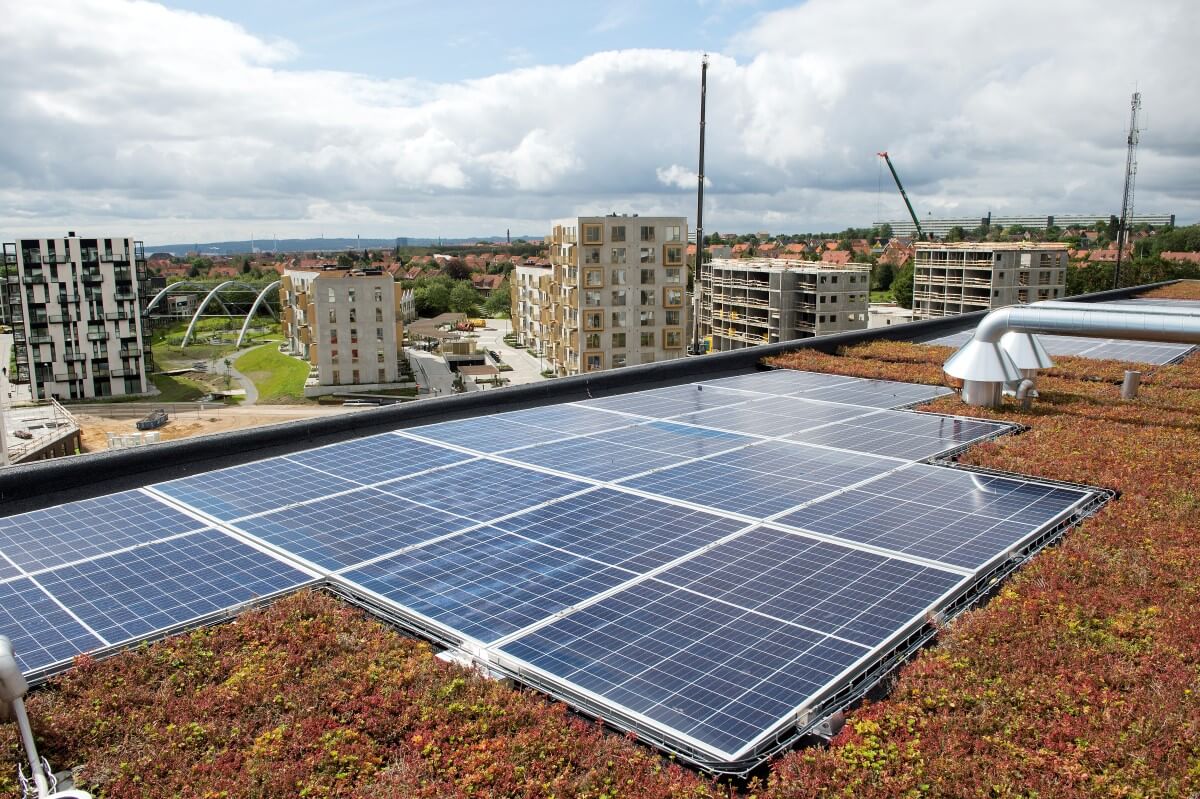 Solceller og grønt tag på fladt tag