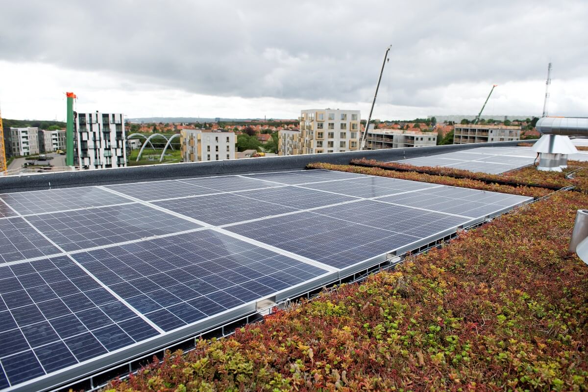 Solceller og grønt tag