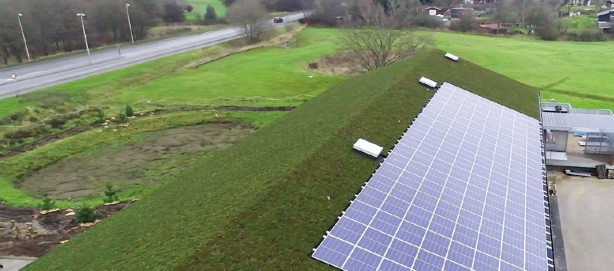 Grøn Netto med solceller